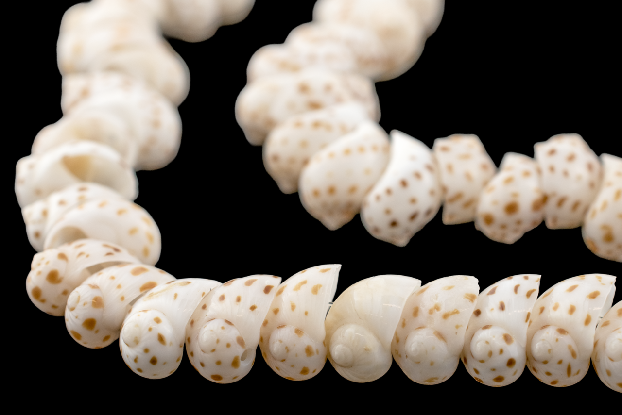 The Bead Chest Natural Shell Beads: Unique Speckled Tide Marine Finish Full Strand